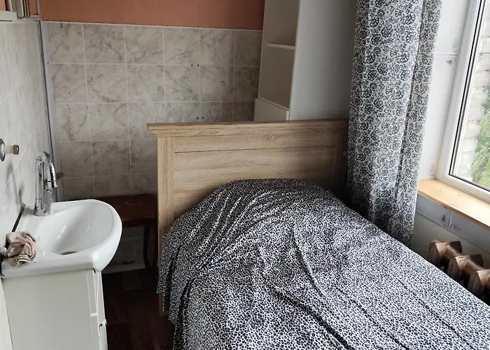 Your In A Three-room With A Shared Kitchen, Bathroom, And Toilet *